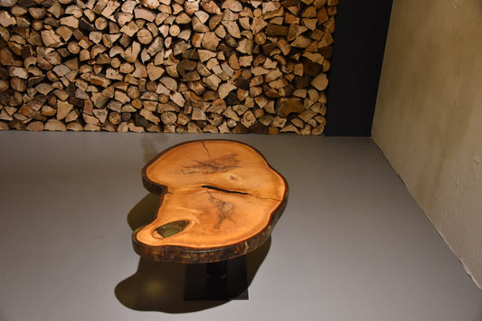 Baumscheiben - Epoxidharz - Beistelltischplatte aus "Klosterkastanie"