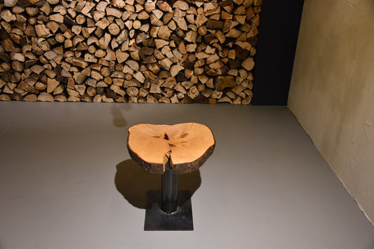 Baumscheiben Beistelltischplatte Esche mit Rinde